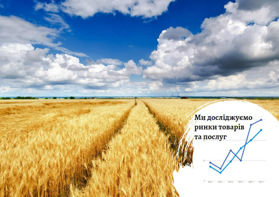 Анализ сельскохозяйственной отрасли в Украине: промежуточный подсчет потерь
